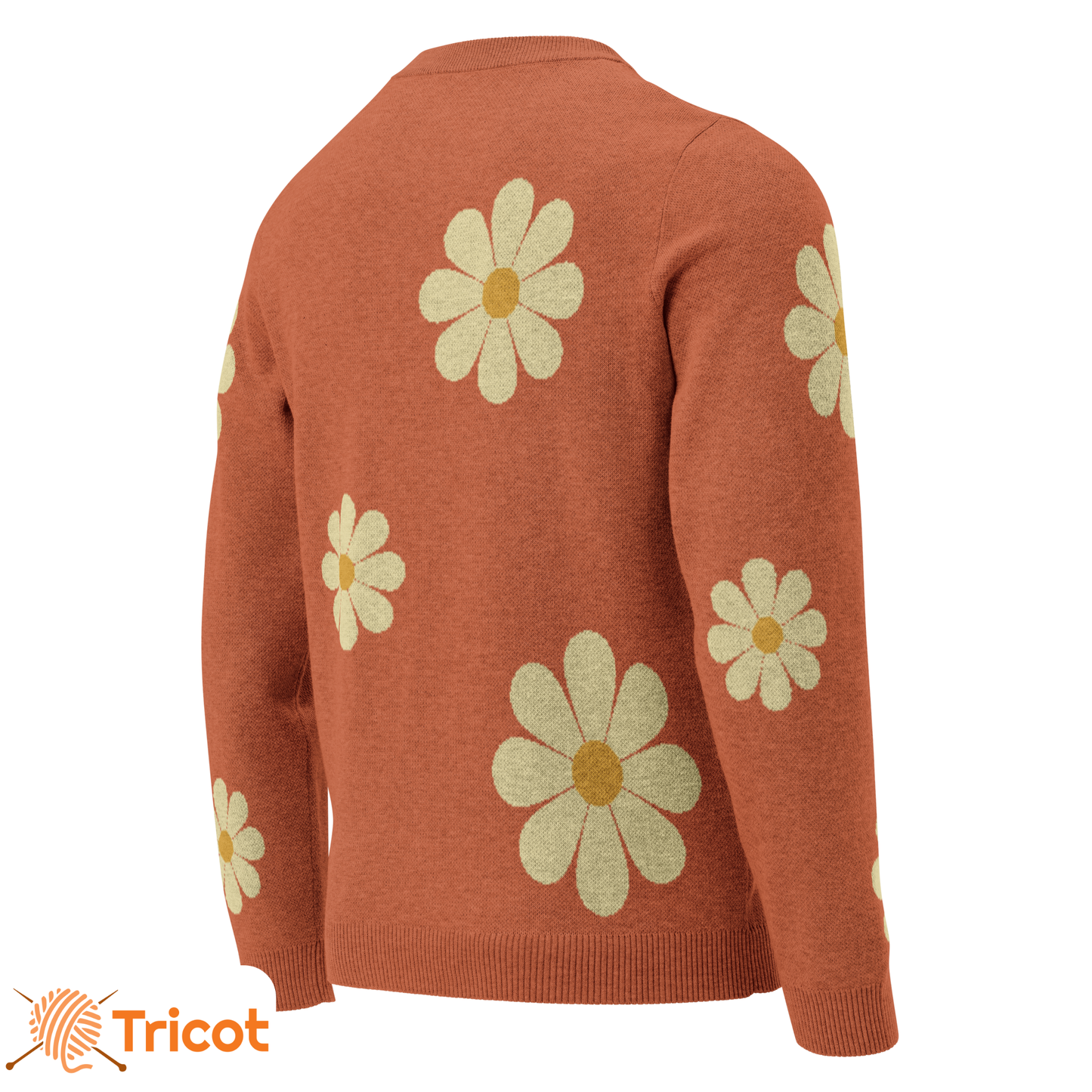 Unisex Knitted Classic Sweatshirt "A la Folie"
