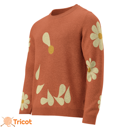 Unisex Knitted Classic Sweatshirt "A la Folie"